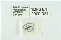 珂灰蝶藏品圖，第3張
