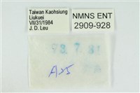 小翠灰蝶藏品圖，第3張
