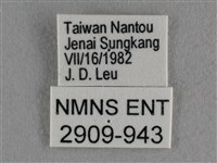 紫日灰蝶藏品圖，第3張