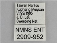 琉璃蛺蝶藏品圖，第3張