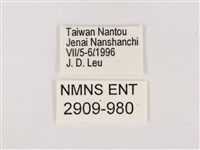 嫵琉灰蝶藏品圖，第3張
