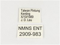 小紫斑蝶藏品圖，第3張
