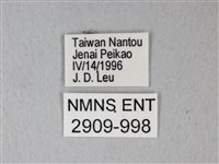 異粉蝶、雌白黃蝶藏品圖，第3張