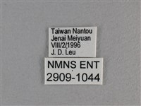 玉帶弄蝶藏品圖，第3張