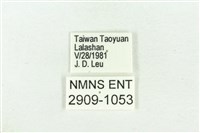 褐翅青灰蝶藏品圖，第3張