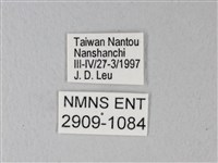 橙端粉蝶、端紅蝶藏品圖，第3張