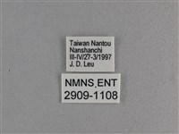 小雙尾蛺蝶藏品圖，第3張
