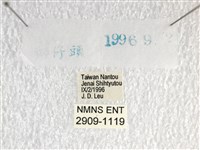 白弄蝶藏品圖，第3張