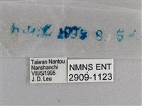 曲紋袖弄蝶藏品圖，第3張