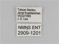 褐翅蔭眼蝶藏品圖，第3張