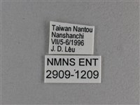 黃豹盛蛺蝶藏品圖，第3張