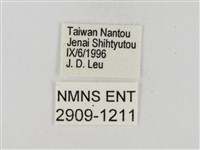 墨子黃斑弄蝶藏品圖，第3張