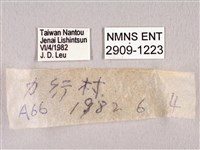 田中洒灰蝶藏品圖，第3張