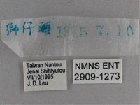 曲紋袖弄蝶藏品圖，第3張