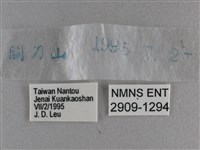 曲紋袖弄蝶藏品圖，第3張
