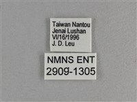 玉帶弄蝶藏品圖，第3張