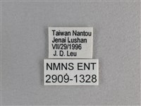 玉帶弄蝶藏品圖，第3張