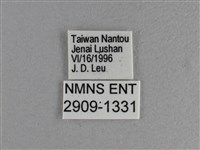玉帶弄蝶藏品圖，第3張