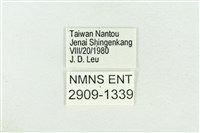 珠灰蝶藏品圖，第3張