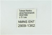東方喙蝶藏品圖，第3張