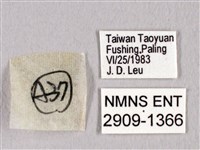 田中洒灰蝶藏品圖，第3張