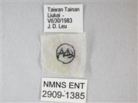 細邊琉灰蝶藏品圖，第3張
