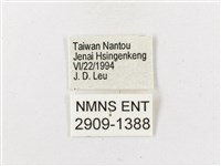 黃斑蔭眼蝶藏品圖，第3張