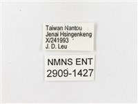 玉山幽眼蝶藏品圖，第3張