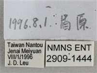 小稻弄蝶藏品圖，第3張