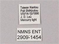 榆綠天蛾藏品圖，第3張