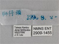 黯弄蝶藏品圖，第3張