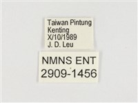 小紫斑蝶藏品圖，第3張