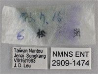 紫日灰蝶藏品圖，第3張