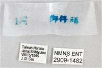 綠弄蝶藏品圖，第3張