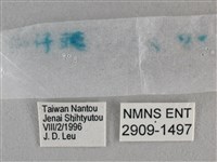 黯弄蝶藏品圖，第3張