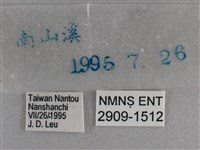 曲紋袖弄蝶藏品圖，第3張