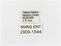 古眼蝶藏品圖，第3張