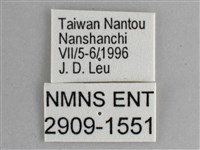 琉璃蛺蝶藏品圖，第3張