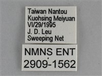 琉璃蛺蝶藏品圖，第3張