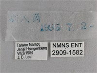 曲紋袖弄蝶藏品圖，第3張