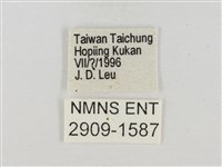 白裙弄蝶藏品圖，第3張