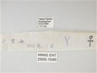 流星絹粉蝶藏品圖，第3張