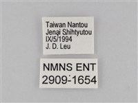 小波眼蝶藏品圖，第3張
