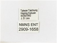 古眼蝶藏品圖，第3張