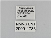 江崎波眼蝶藏品圖，第3張