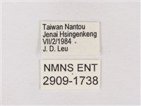 碧翠灰蝶藏品圖，第3張