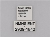 小波眼蝶藏品圖，第3張
