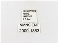 白帶波眼蝶藏品圖，第3張