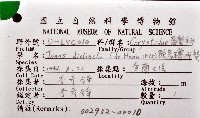 顯著瓊娜蟹藏品圖，第8張