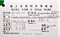 顯著瓊娜蟹藏品圖，第4張